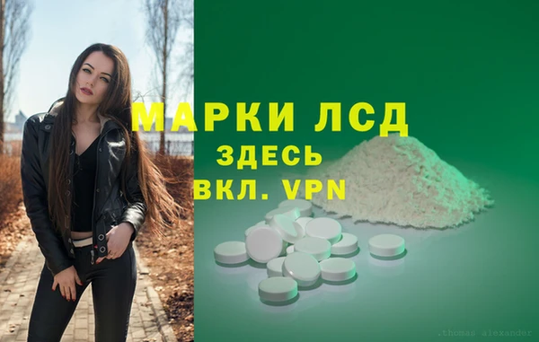 стаф Липки