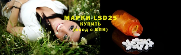 стаф Липки