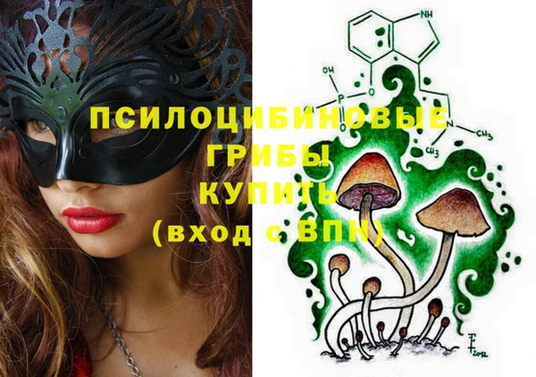 стаф Липки