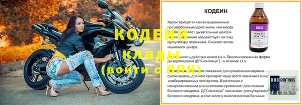 стаф Липки